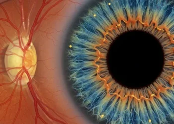 7 Signs You May Need Treatment for Diabetic Retinopathy