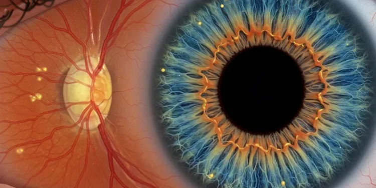 7 Signs You May Need Treatment for Diabetic Retinopathy