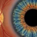 7 Signs You May Need Treatment for Diabetic Retinopathy